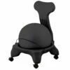 Fitpro Ball Chair, BCHX