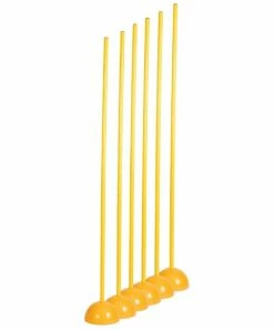 Champion Set of 6 Coaching Sticks w/ Base, CK 60