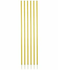 Champion Set of 6 Coaching Sticks, CS6  Blue